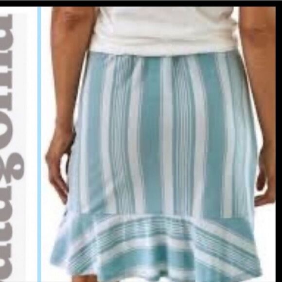 ** HOST PICK ** PATAGONIA BLUE AND WHITE STRIPED ALPINE VALLEY SKIRT, SIZE LARGE - Picture 2 of 11